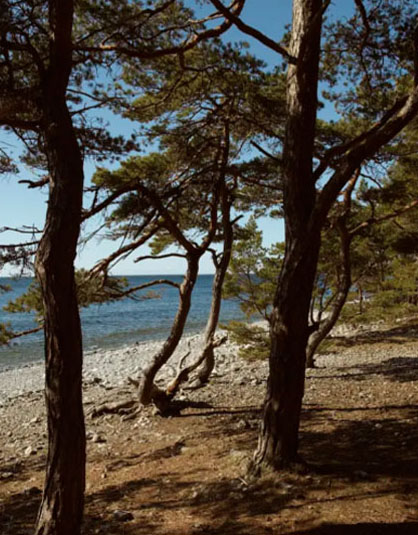 环保纺织产业的前景